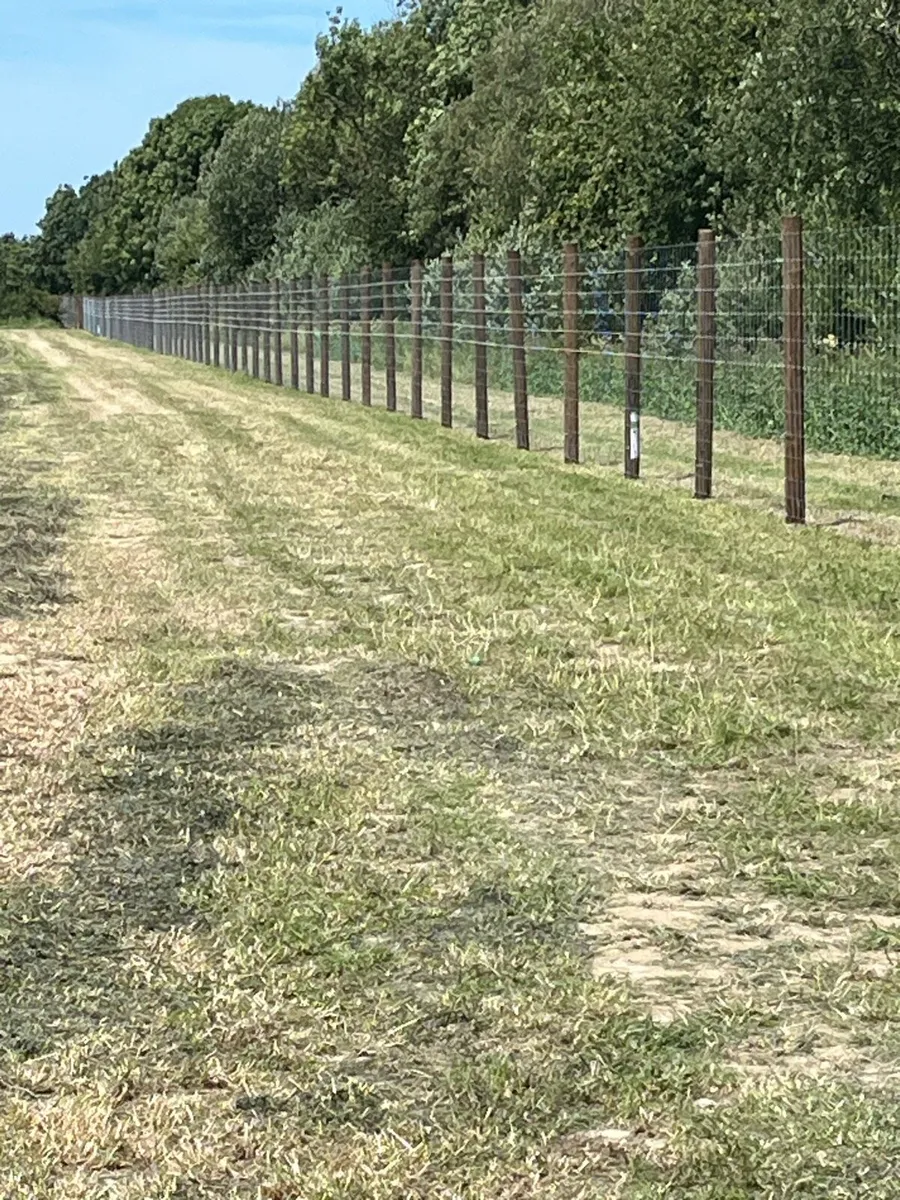 Fencing contractor - Image 4