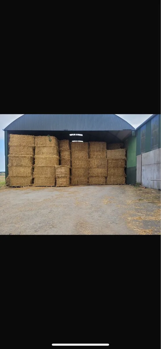 Barley & Oaten straw 8x4x4 bales