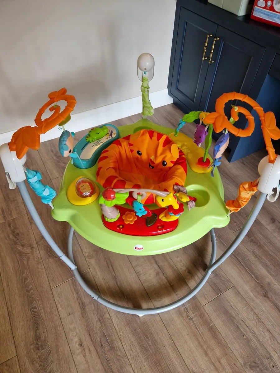 Baby Bouncer Jumperoo - Image 1