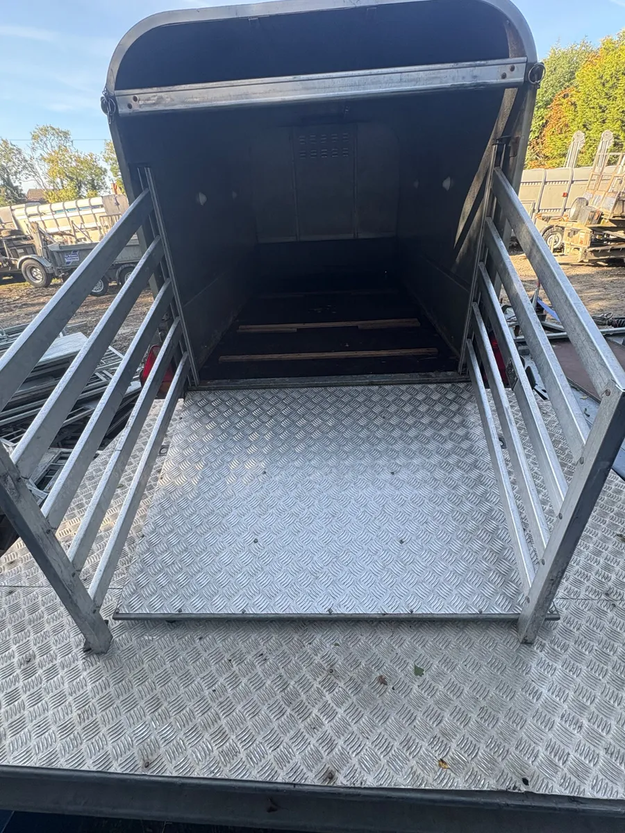 2018 Ifor Williams p7e sheep / calf trailer - Image 2