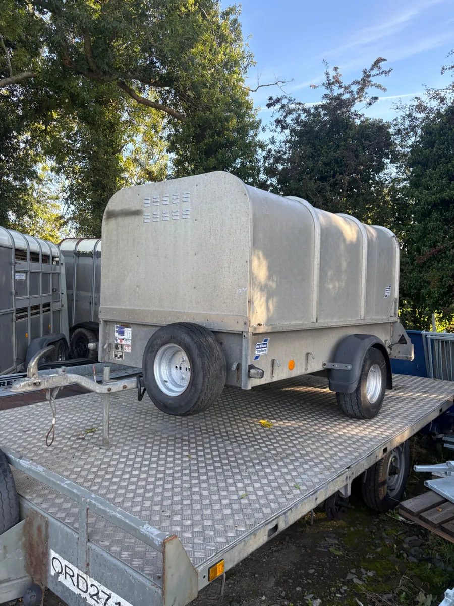 2018 Ifor Williams p7e sheep / calf trailer - Image 1