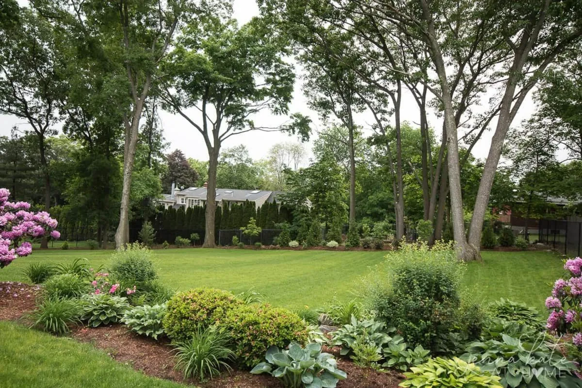 Garden Maintenance - Image 1