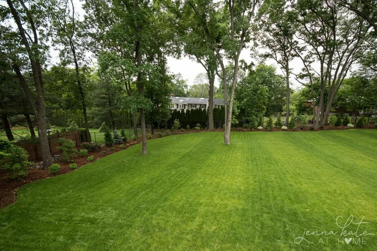 Garden Maintenance - Image 2