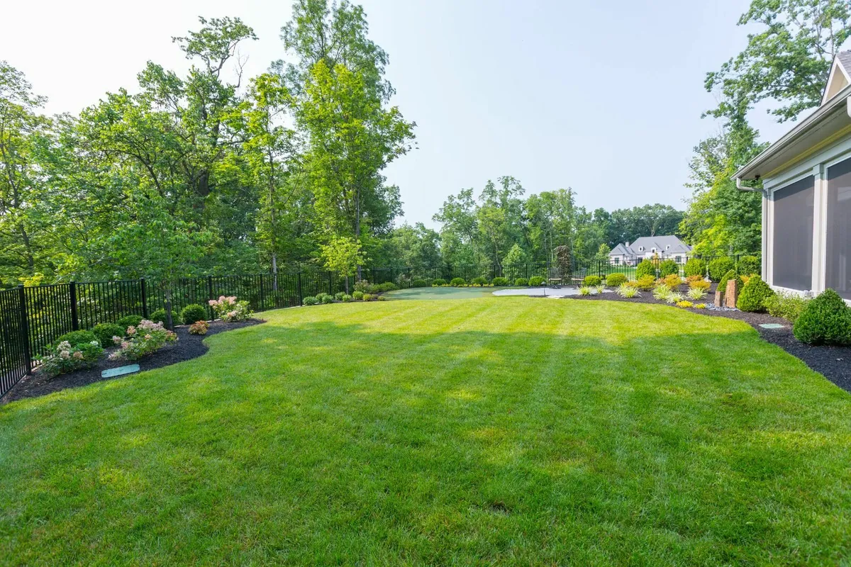 Garden Maintenance - Image 4