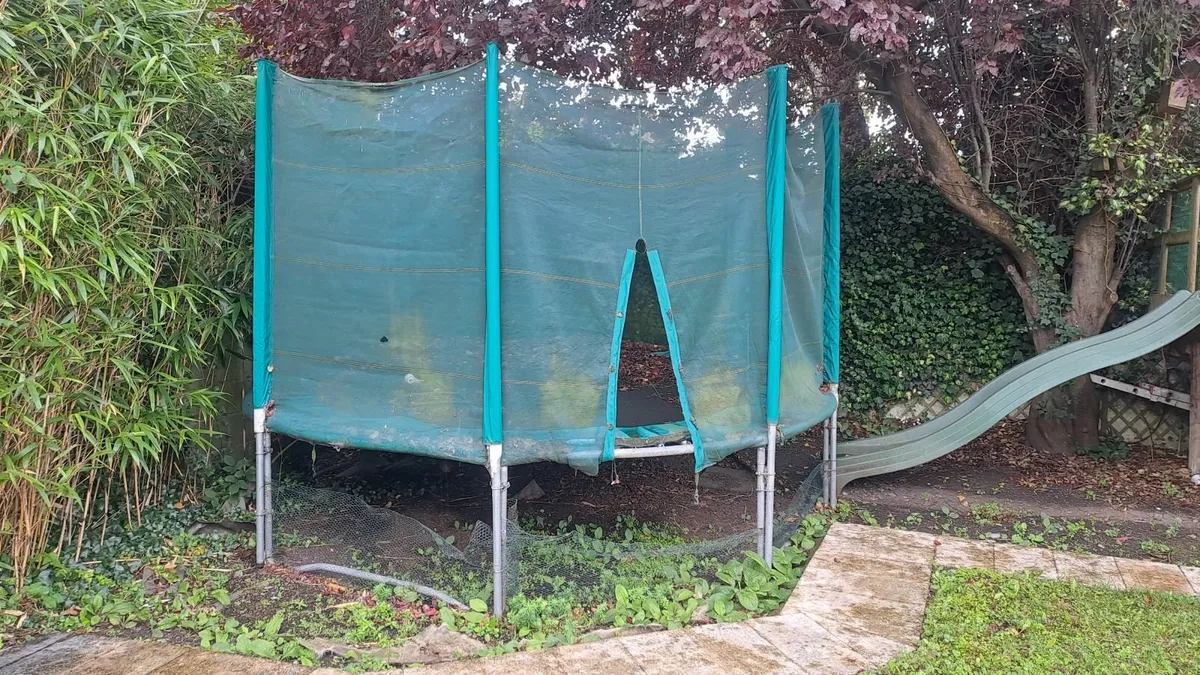 Free Trampoline