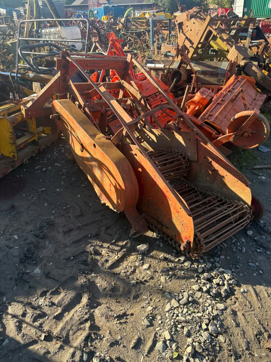 Single row potato digger - Image 1