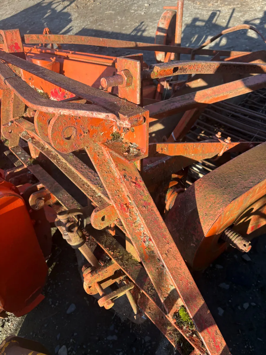 Single row potato digger - Image 2