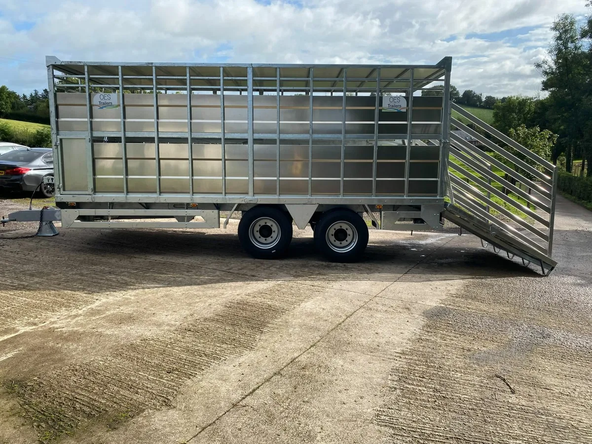 Galvanised Cattle / Sheep trailer - Image 1