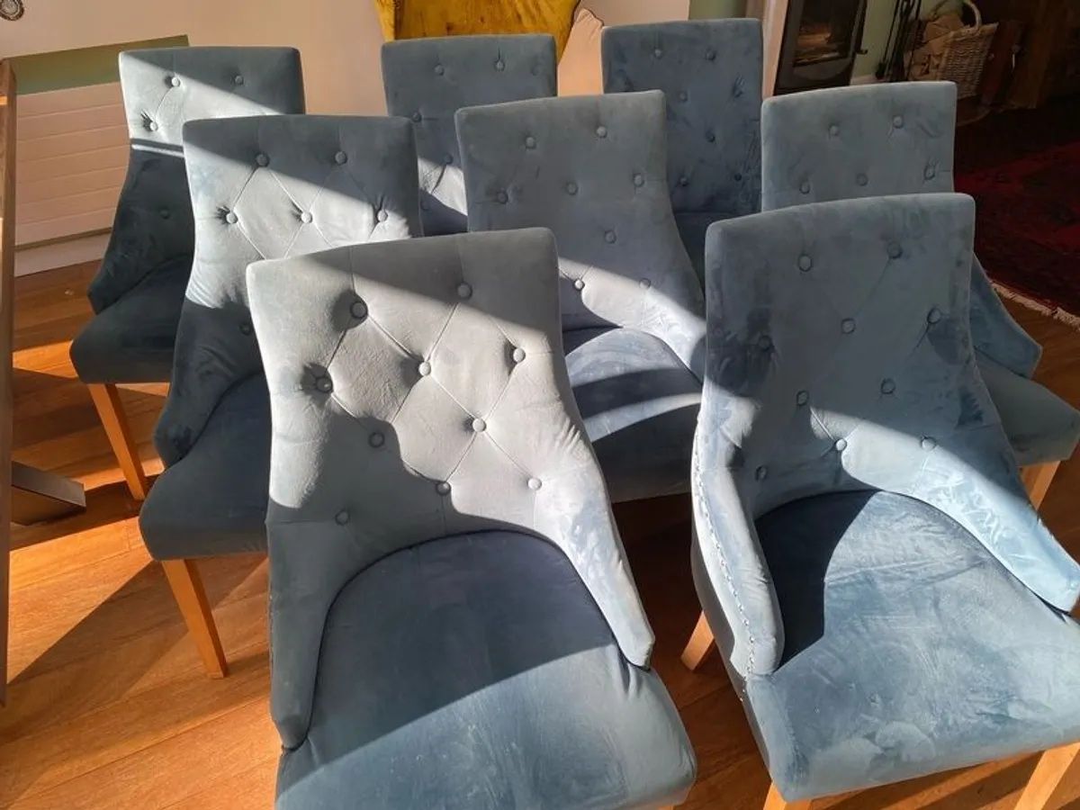 Set of 8 Velour Dining Chairs - Image 1