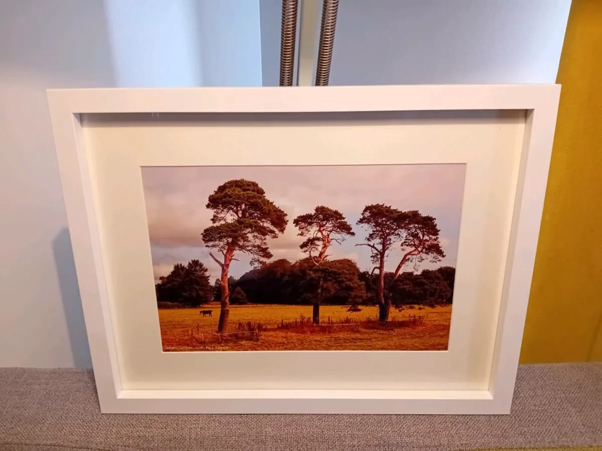 Ballintubber, Carrigtwohill - Image 2