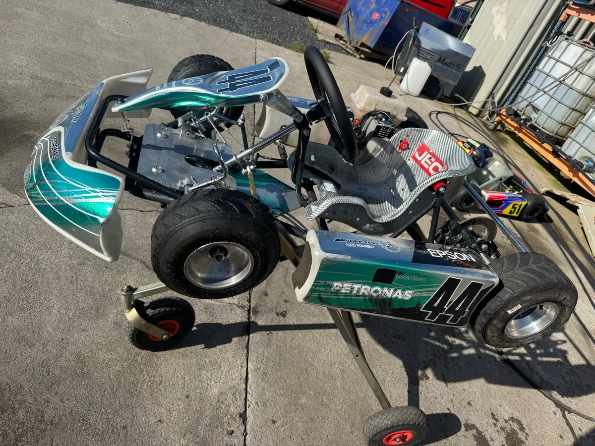 Bambino karts age 4-8 - Image 1