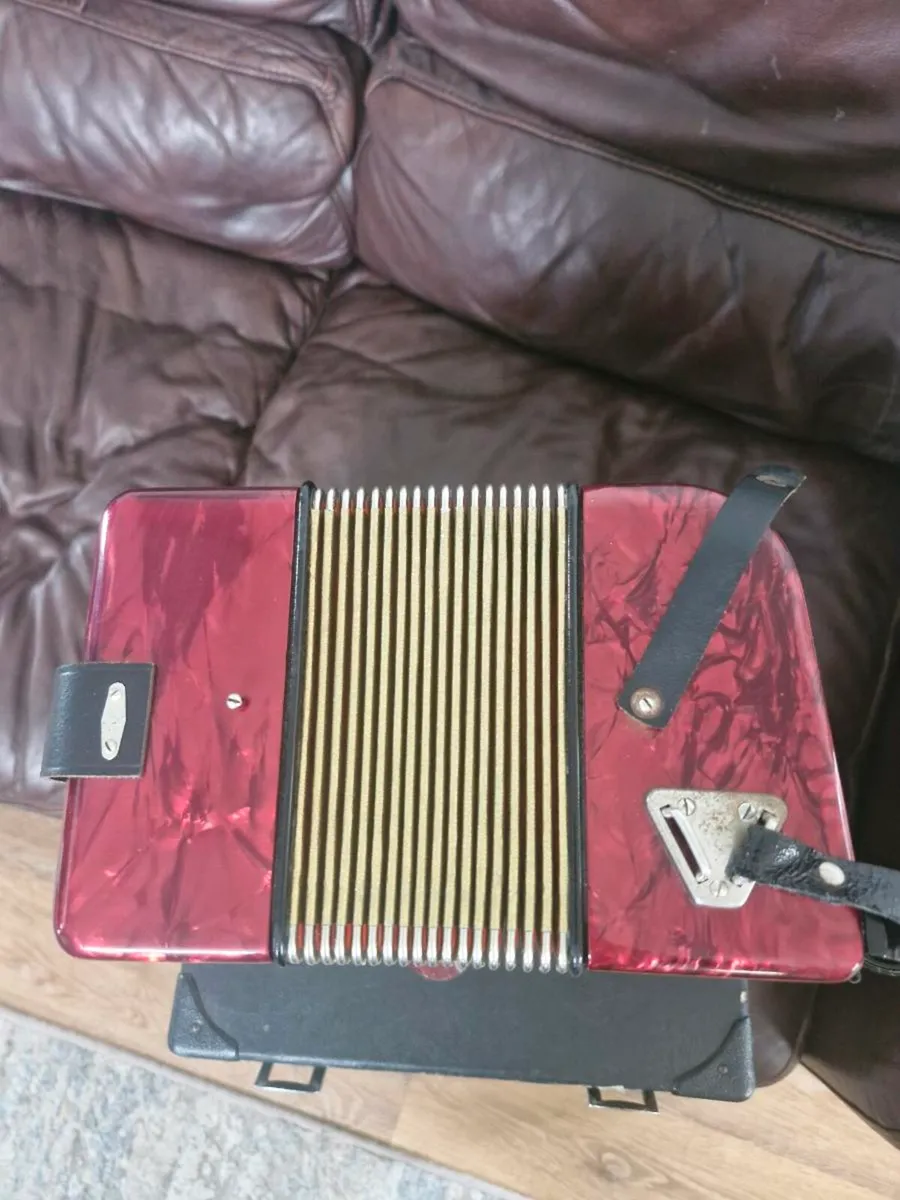 Button Accordion - Image 3
