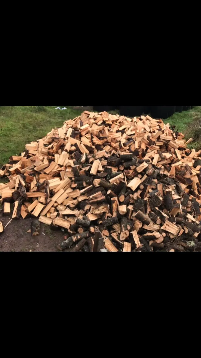 Firewood - Image 1