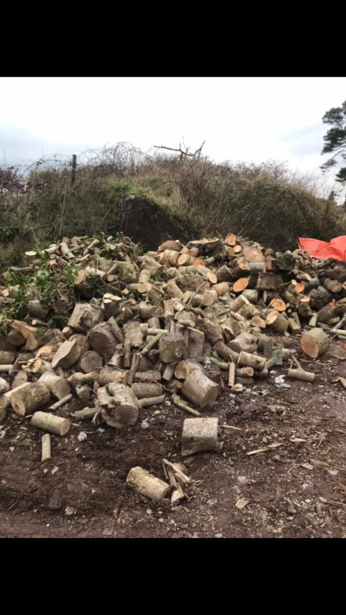 Firewood - Image 2