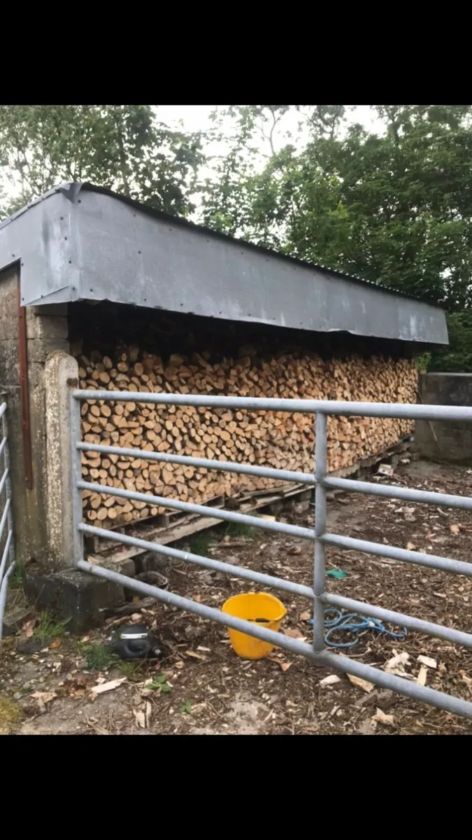 Firewood - Image 3