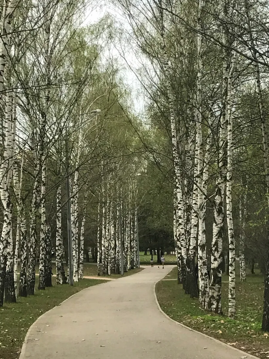 Handyman services - Image 2