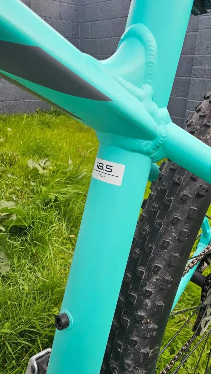 Treck Bicycle - Image 4