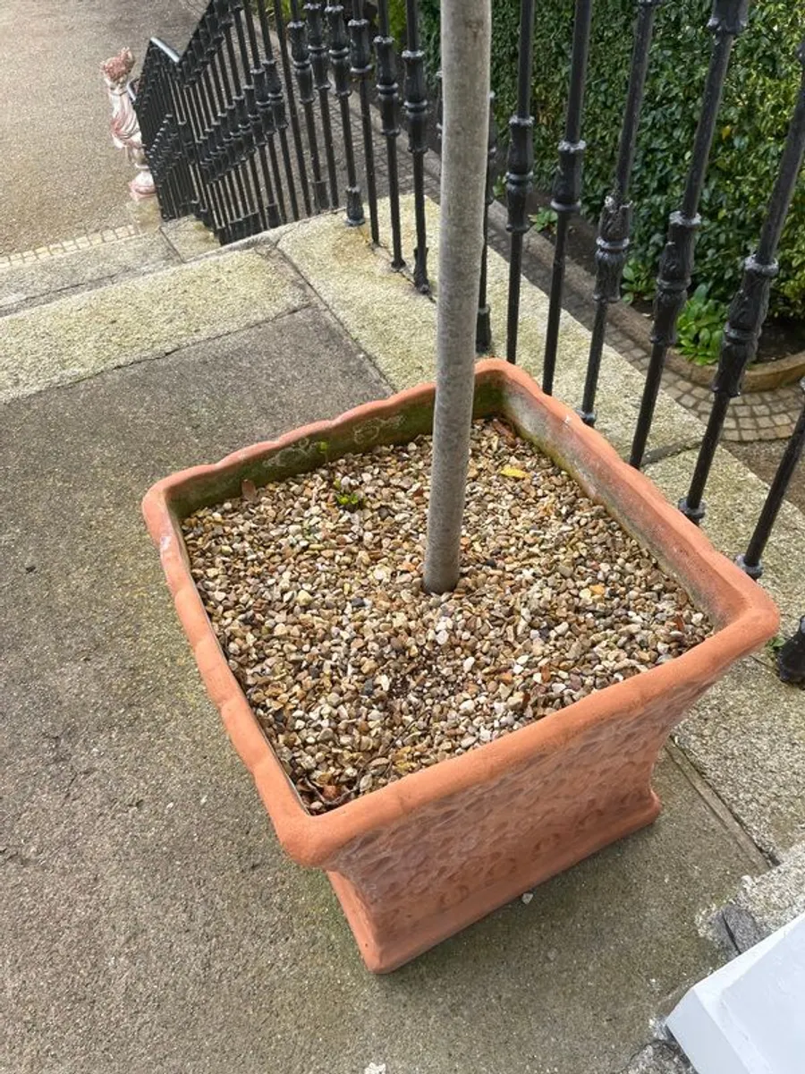 Large garden pot - Image 3