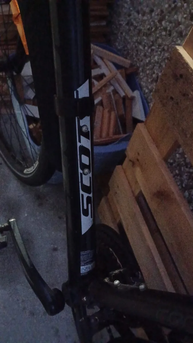Bike - Image 2
