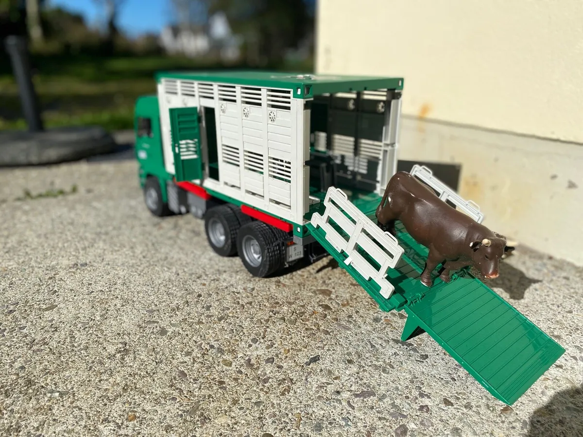 SCANIA SUPER 560R CATTLE TRANSPORTATION TRUCK - Image 3