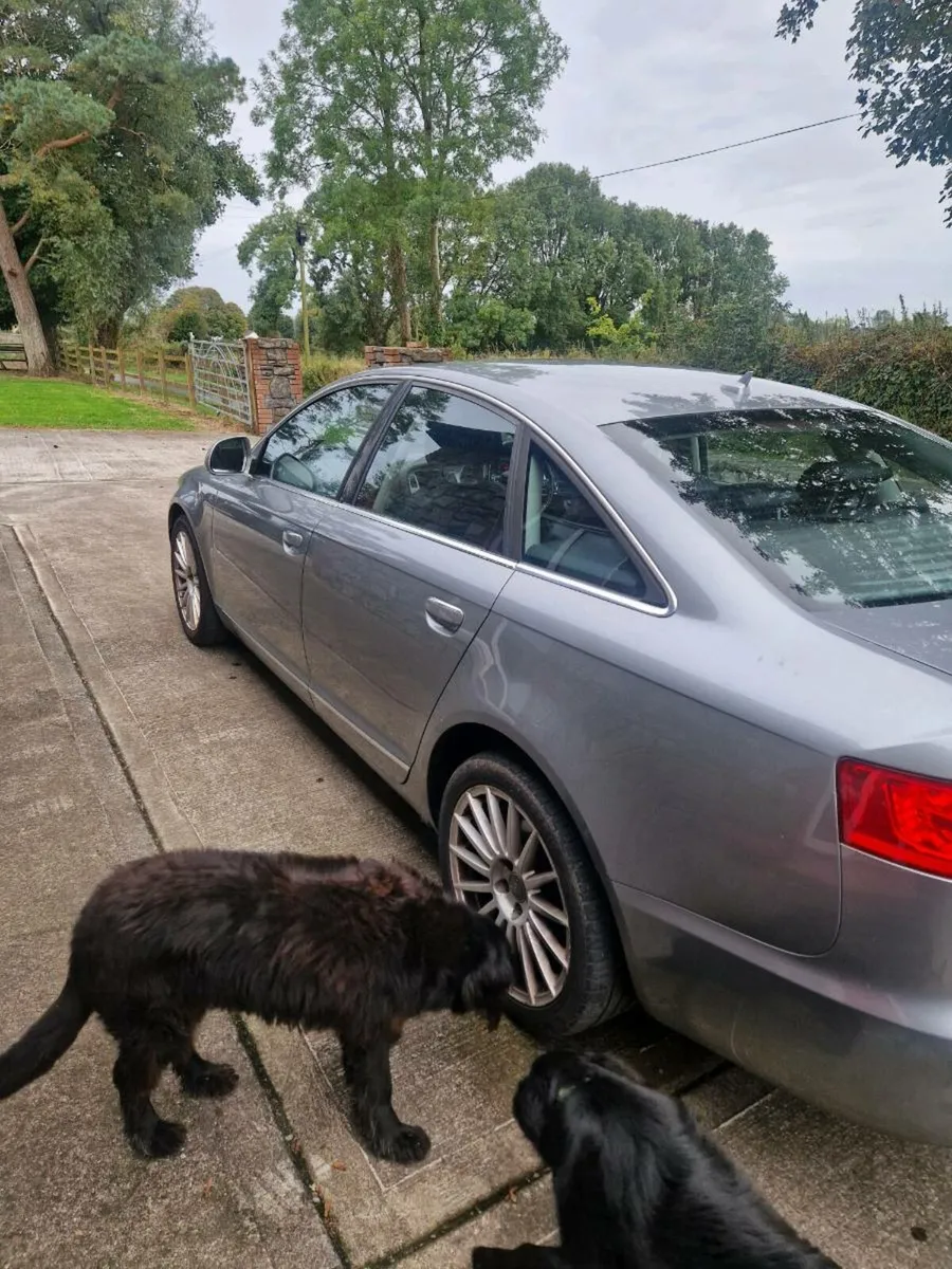 Audi A6 - Image 4