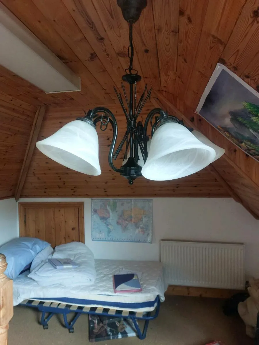 Hanging light for sale - Image 2