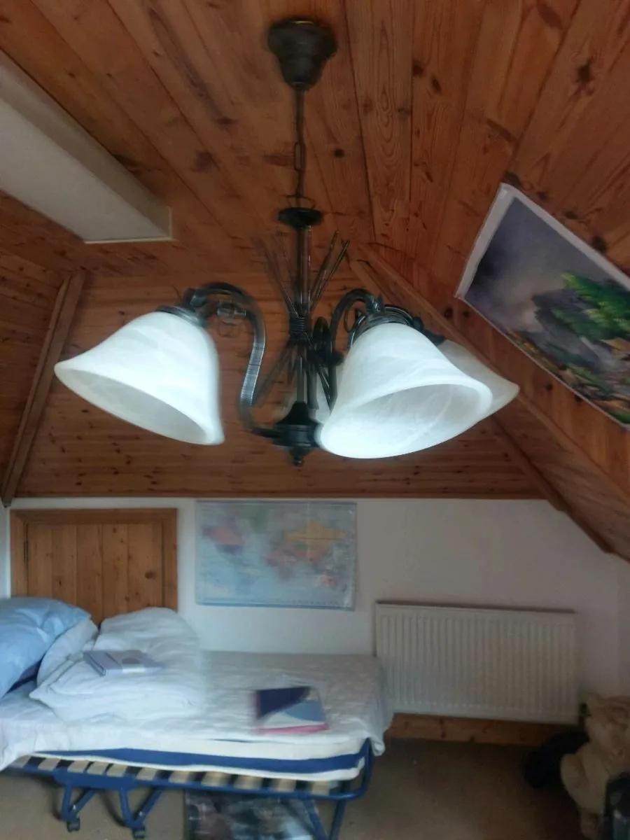 Hanging light for sale - Image 1