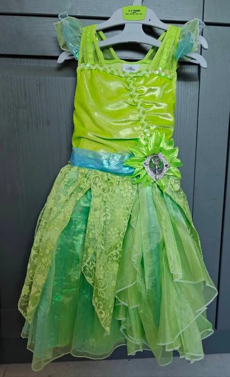 Disney Tinkerbell dress - Image 1