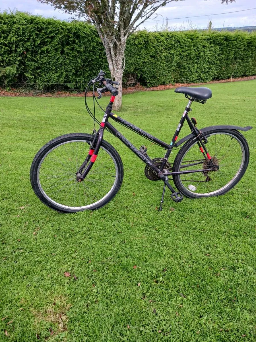 Bicycle - Image 1