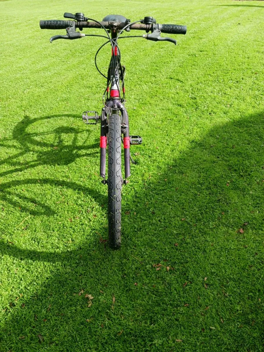 Bicycle - Image 4