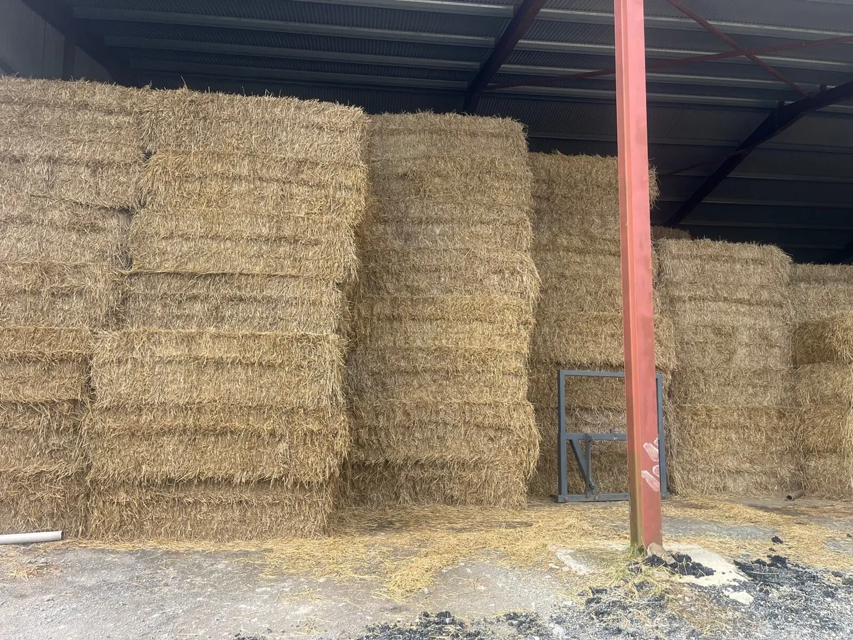 Straw - Image 1