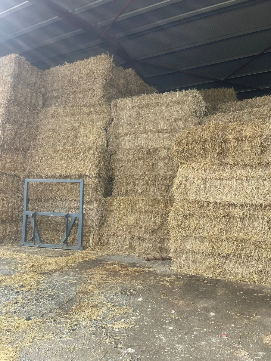 Straw - Image 2