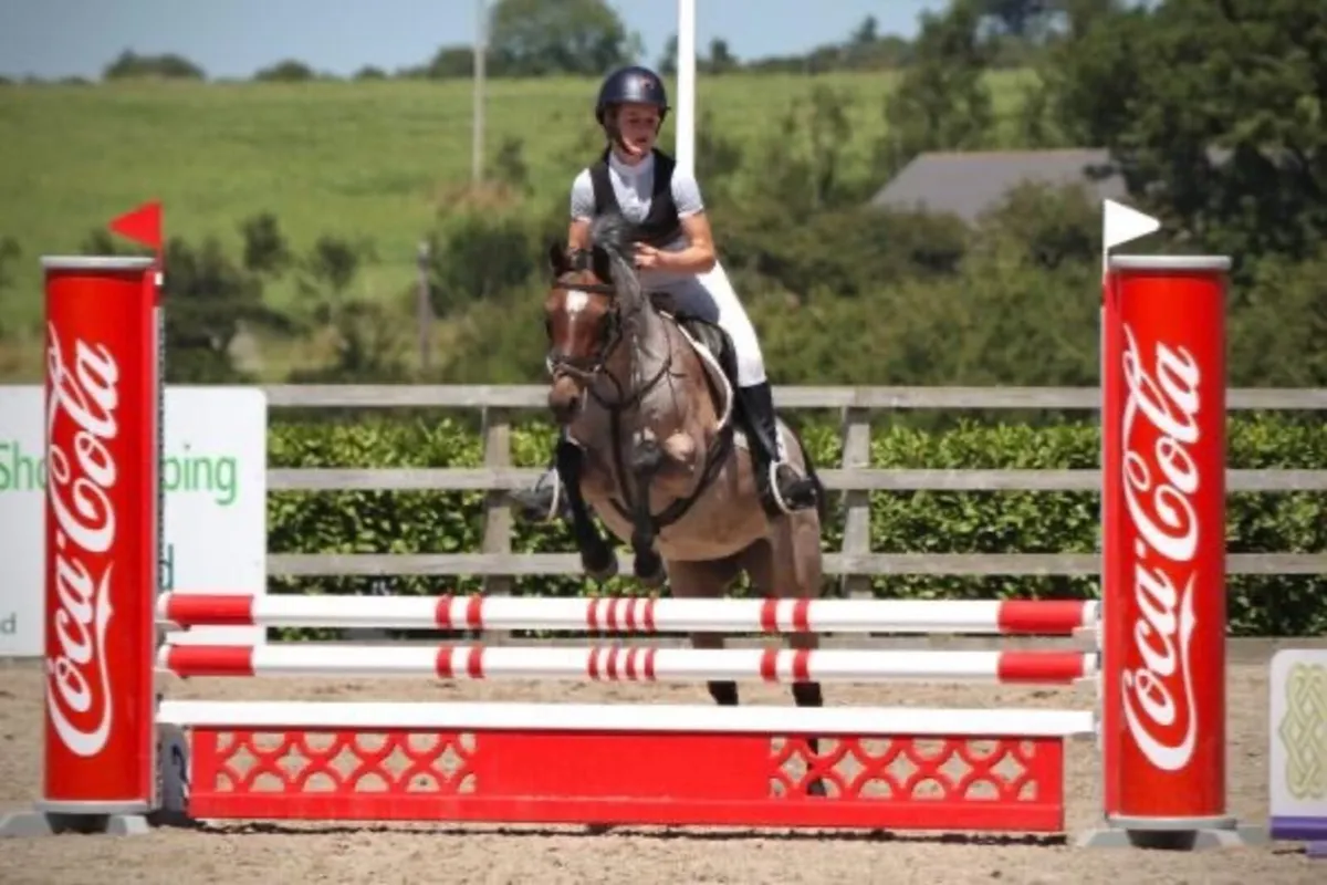13.2 Show Jumping Pony - Image 2