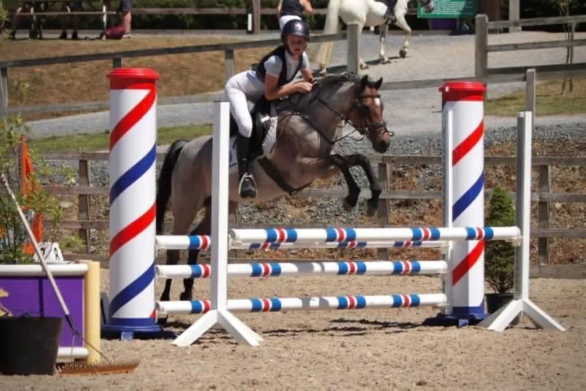 13.2 Show Jumping Pony - Image 3