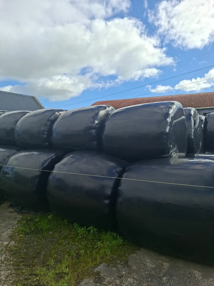 Silage Bales - Image 2
