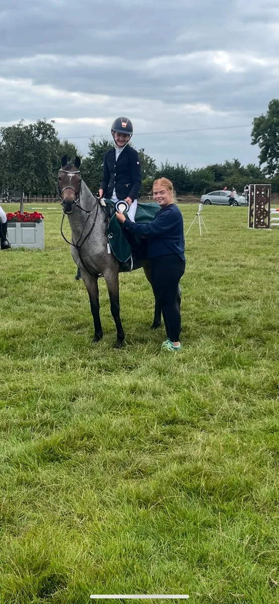 13.2 Show Jumping Pony - Image 4