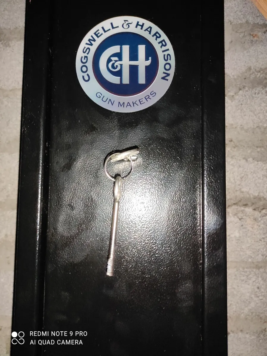 3 Gun Safe - Image 1