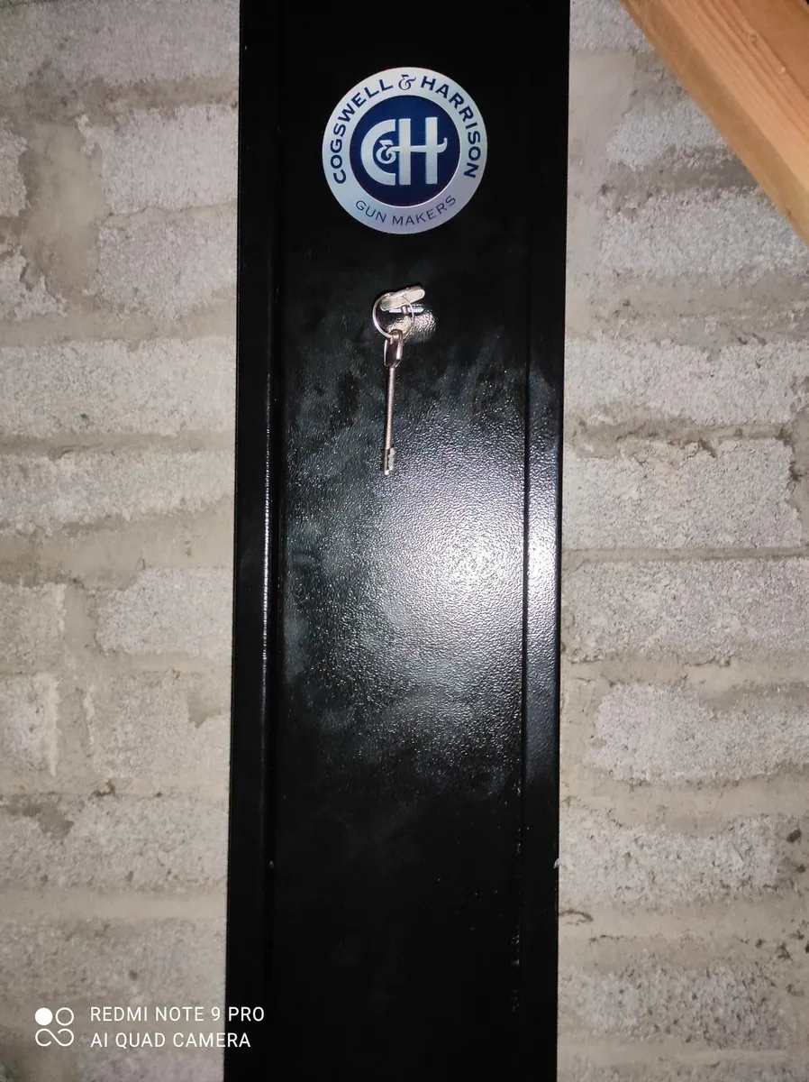 3 Gun Safe - Image 3
