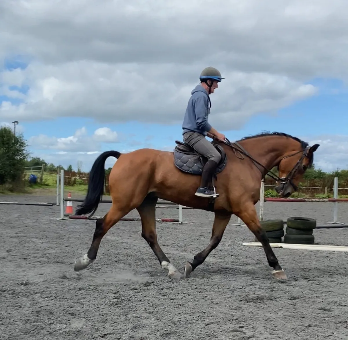 Horse - Image 4
