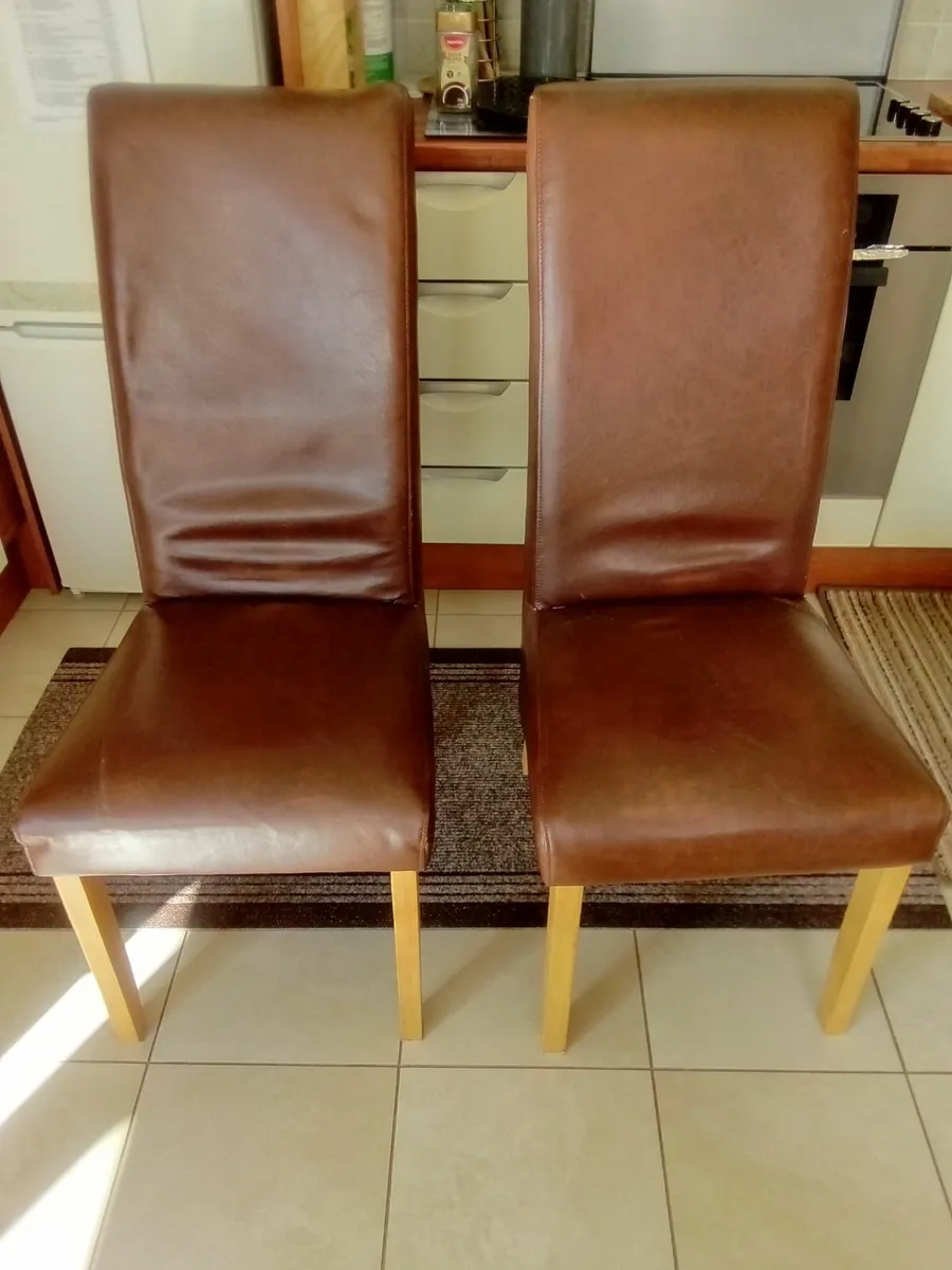 Two Leather Chairs - Image 1