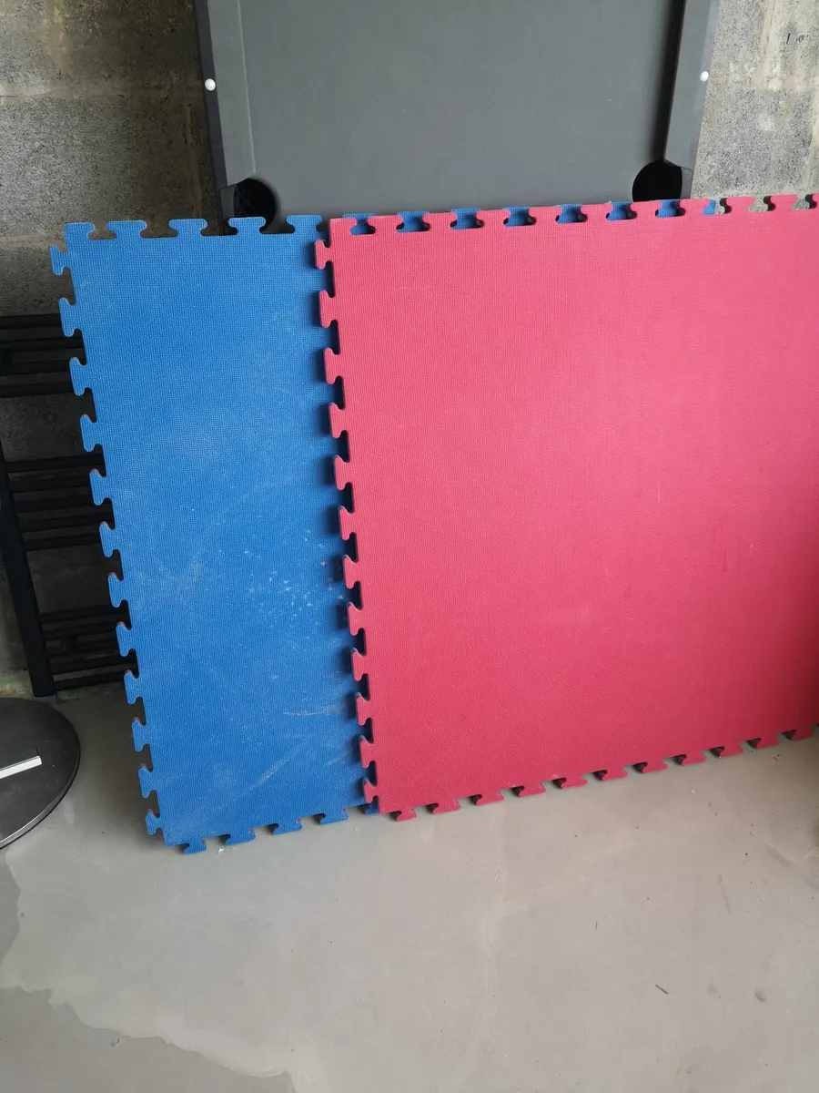 Martial Arts training Mats