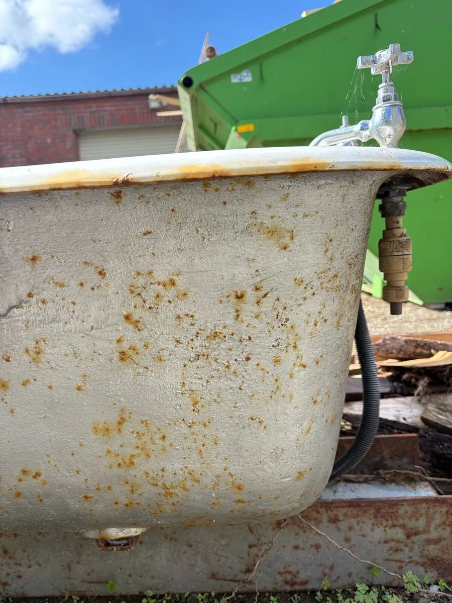 Cast iron bath - Image 2