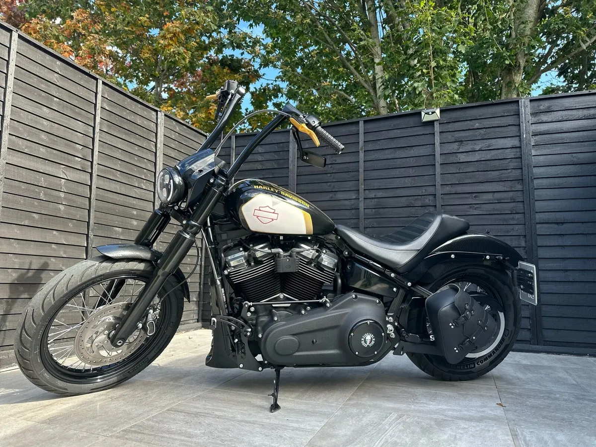 Harley Davidson - Image 1