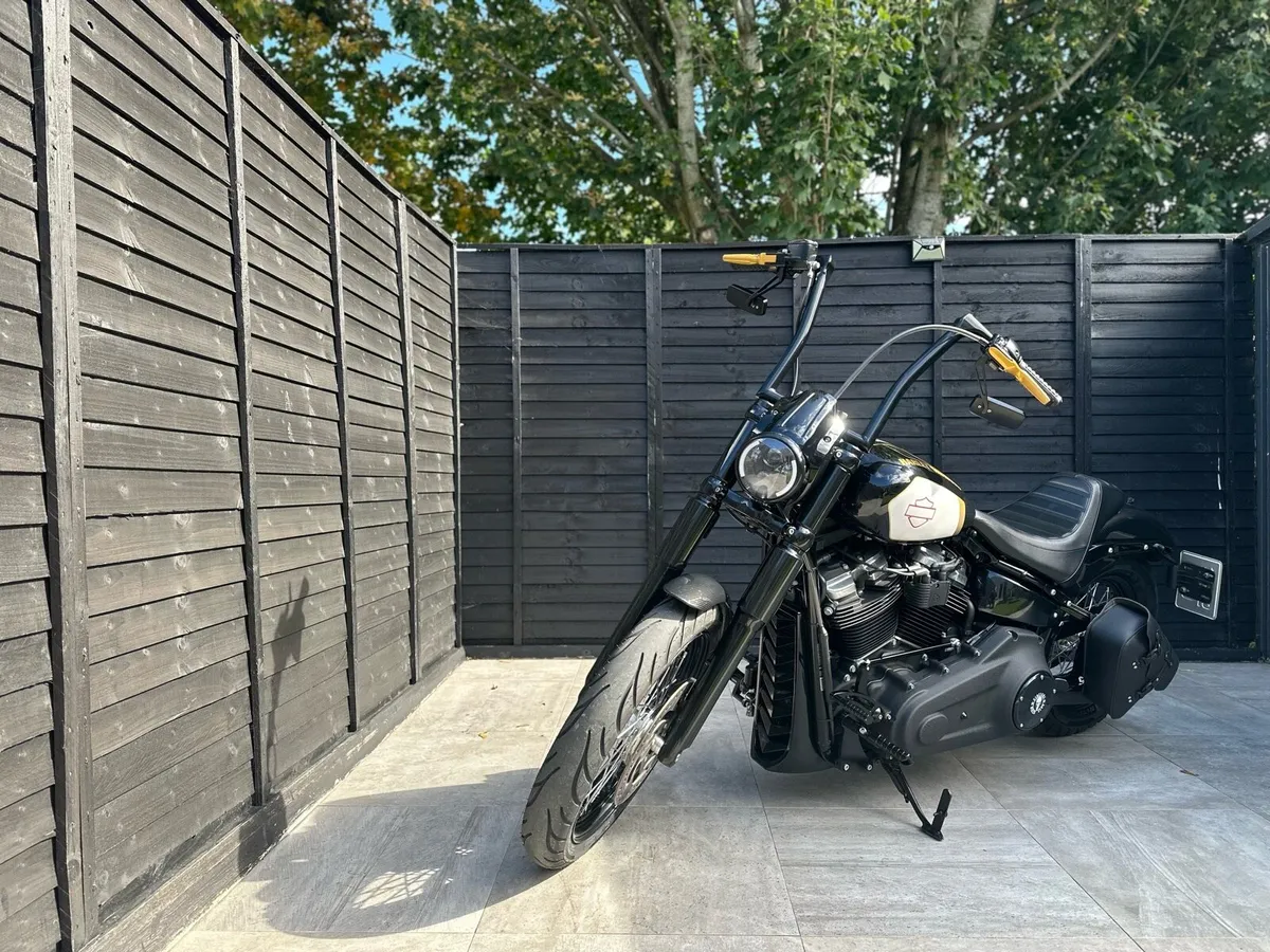 Harley Davidson - Image 3