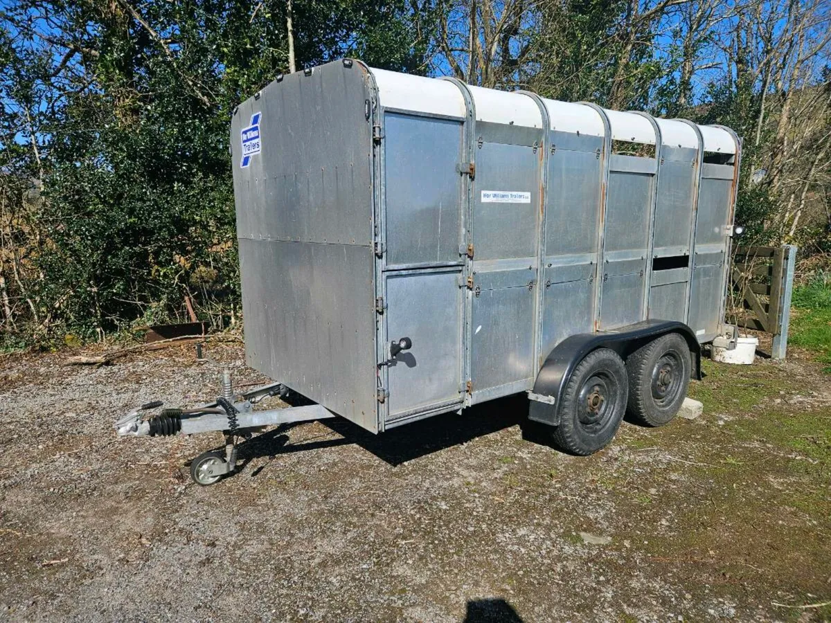 Ifor williams 12x6 - Image 1