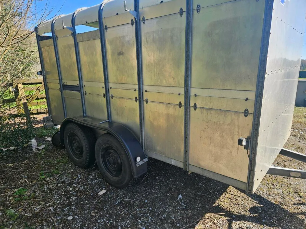 Ifor williams 12x6 - Image 3