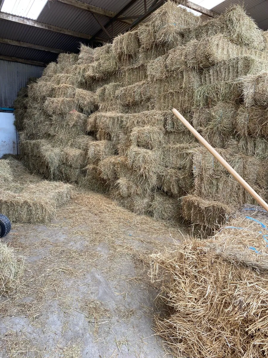 Small square hay .