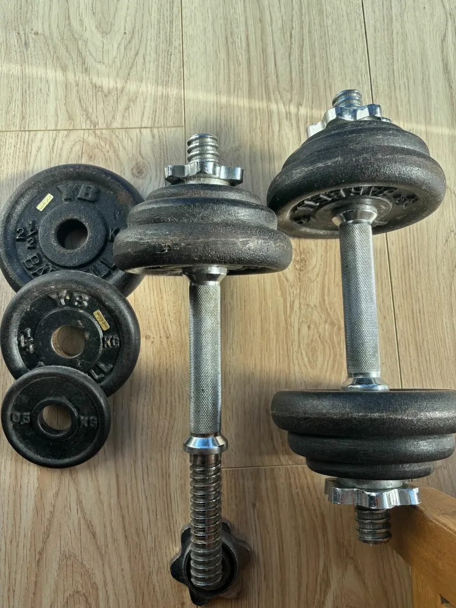 Cast Iron Dumbbells - Image 1