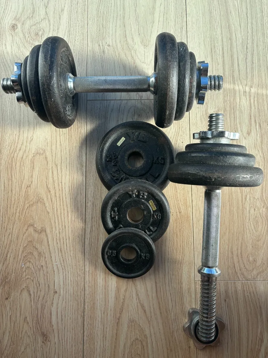 Cast Iron Dumbbells - Image 2