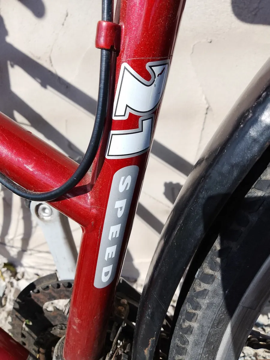 Ladies Bicycle - Image 4